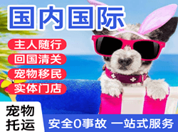 甘孜格萨尔航空快运国际宠物托运 【国